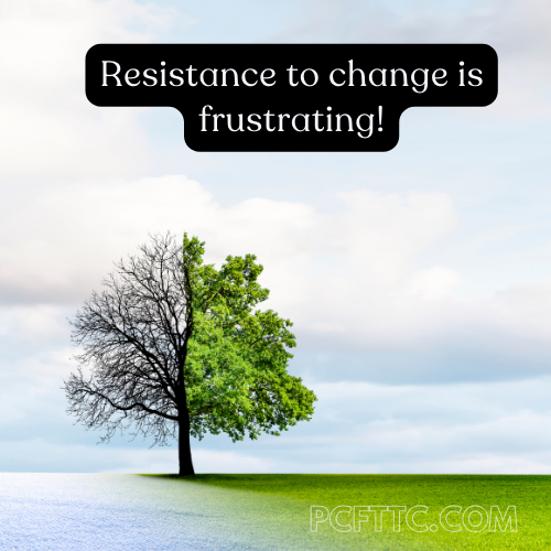 Resistance from clients can be frustrating. But what does it really mean is happening?
