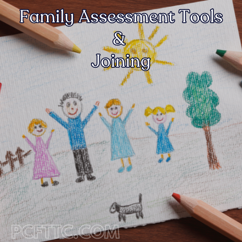 Examples of using family assessment tools to join at 3 levels.